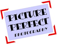 Picture Perfect Photography 463078 Image 0