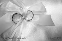 Purely Photography   Wedding, Event and Commercial Photographers 443985 Image 0