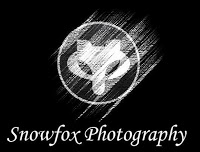 Snowfox Photography 464302 Image 4