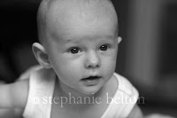 Stephanie Belton Photography 450691 Image 4