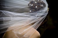 Terry Nattress Photography 459099 Image 0