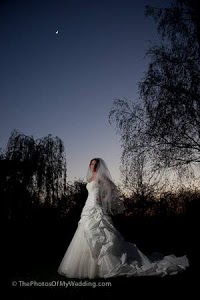 The Photos of my Wedding 463064 Image 3