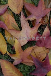 Val Corbett Photography Ltd 449056 Image 8