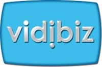 Vidibiz Productions Ltd 461763 Image 4