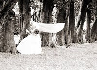 Wedding Photography by Ditch Green 456981 Image 4