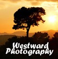 Westward Photography 469052 Image 5