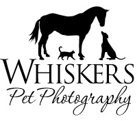 Whiskers Pet Photography 458368 Image 1