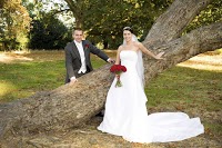 Whitehill Weddings 451423 Image 2