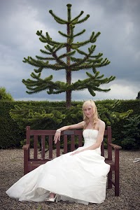 Wonderland Wedding Photography 447794 Image 5