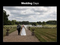 all about image photography 443555 Image 1